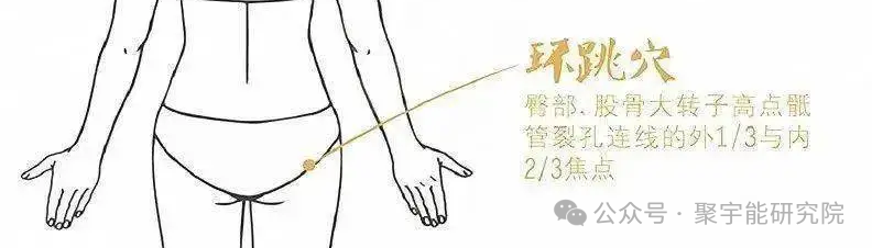 金日光教授:【《黄帝内经》所深藏的奥秘•之三十六】《内经》说 <胆决定十一脏>,这和三个重穴(阳陵泉、环跳、风池)有何关系?(图3) 640.png