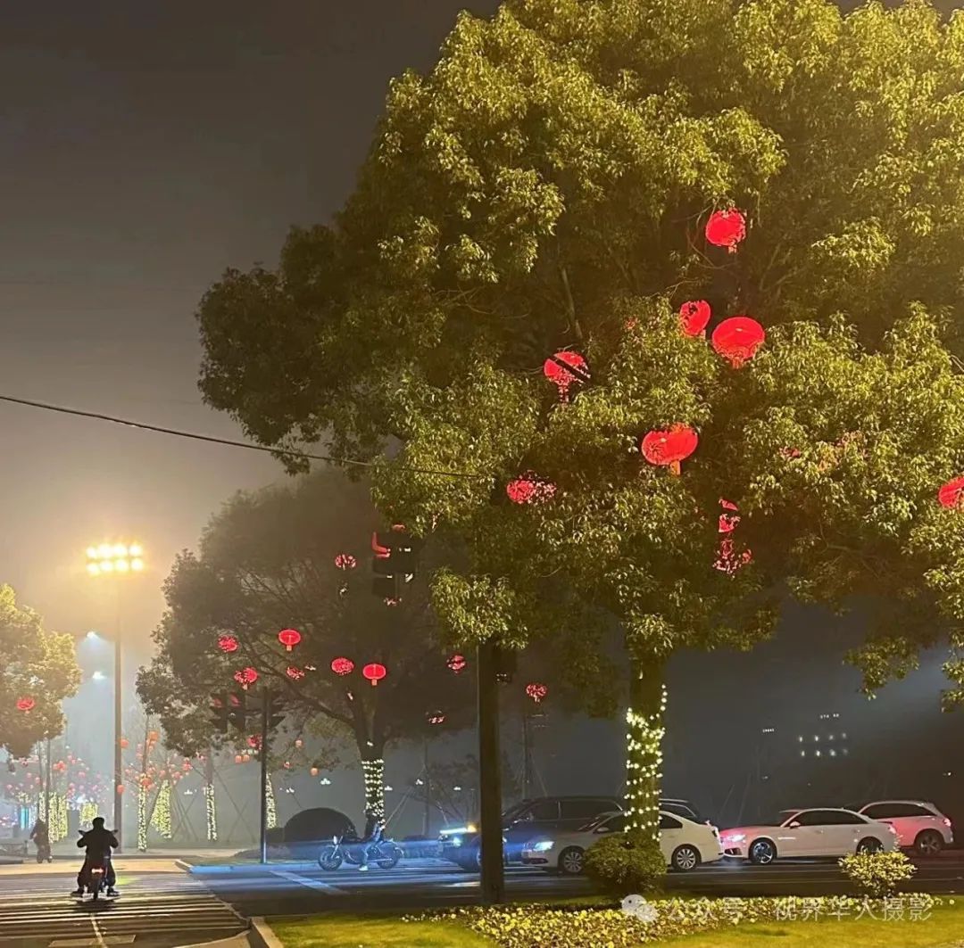 岑国荣丨台州市府大道除夕夜的繁华盛景(图39) 640.jpg