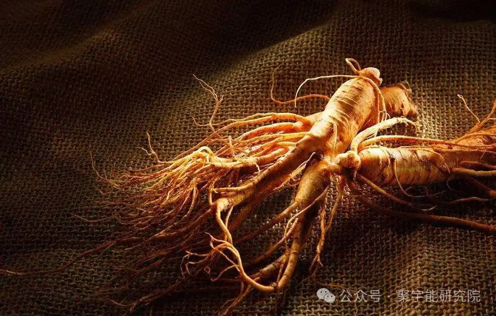 金日光教授:【《黄帝内经》所深藏的奥秘•之四十四】比脑梗、心梗更严重的大事,即老人脑痴呆,中国位居世界第一!该怎么办?(图5) 640.png