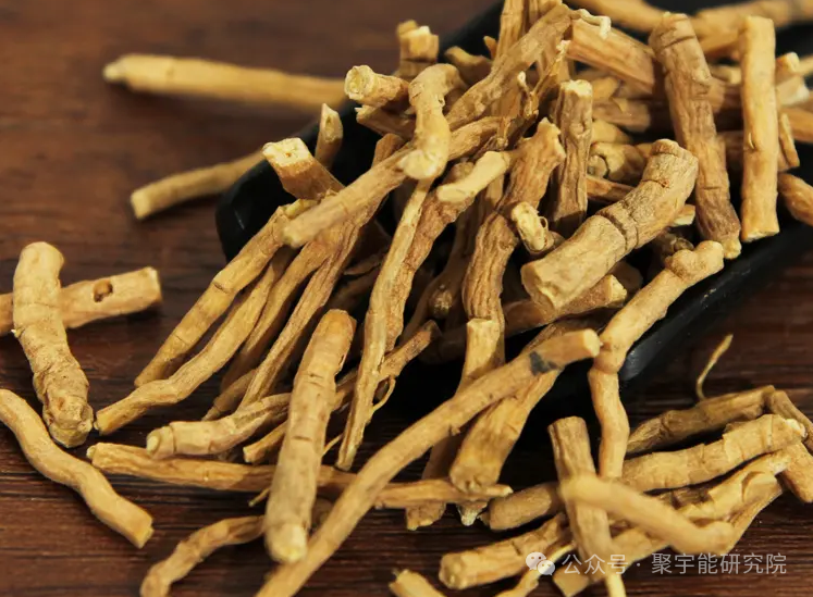 金日光教授:【《黄帝内经》所深藏的奥秘•之四十四】比脑梗、心梗更严重的大事,即老人脑痴呆,中国位居世界第一!该怎么办?(图12) 640.png