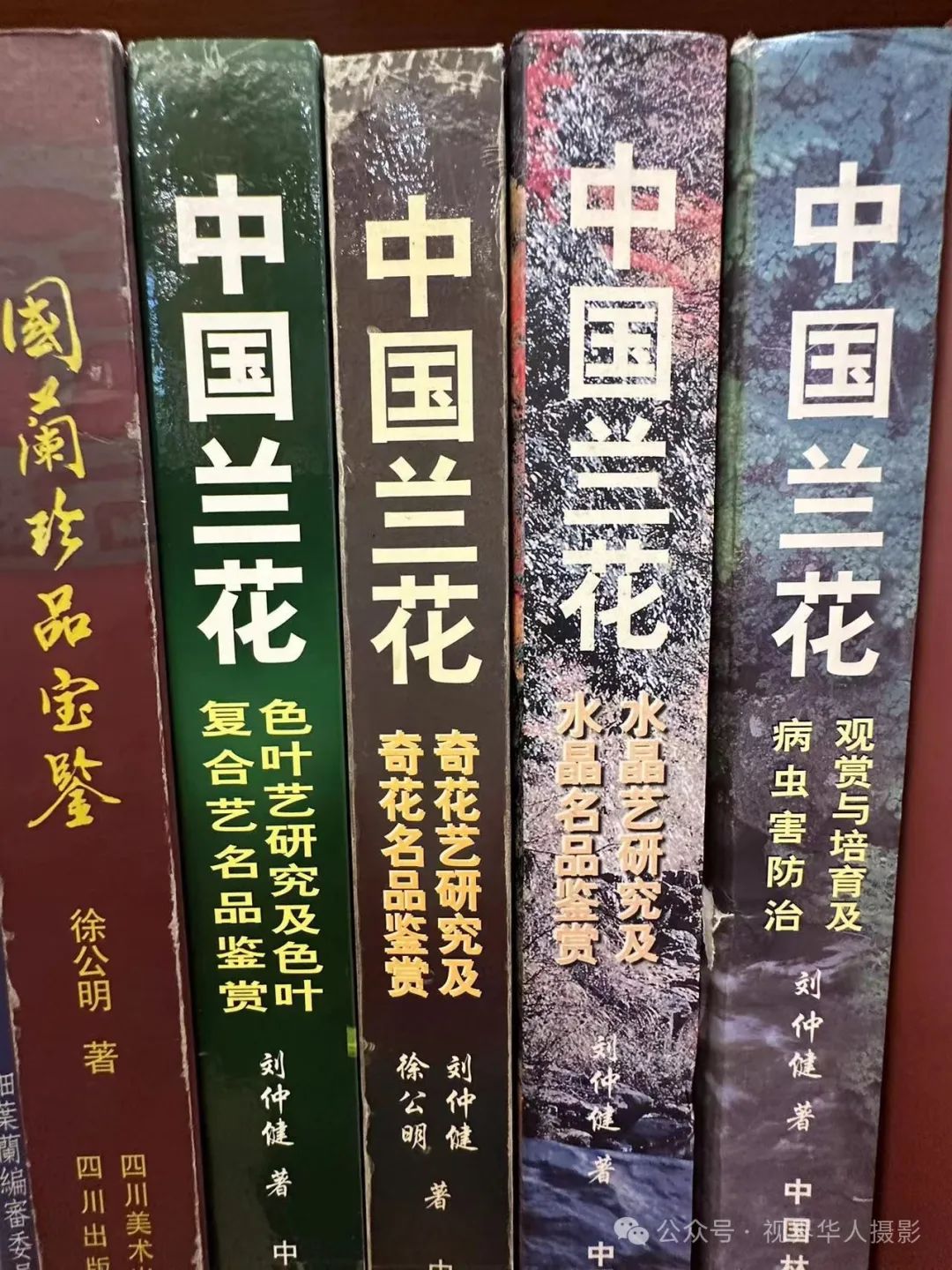 岑国荣|穿越时空的插花艺术之旅(图38) 640.jpg