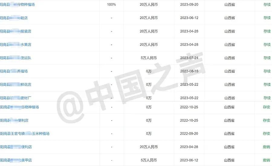 为完成上级摊派任务,村支书办了20张营业执照(图6) 6.jpg