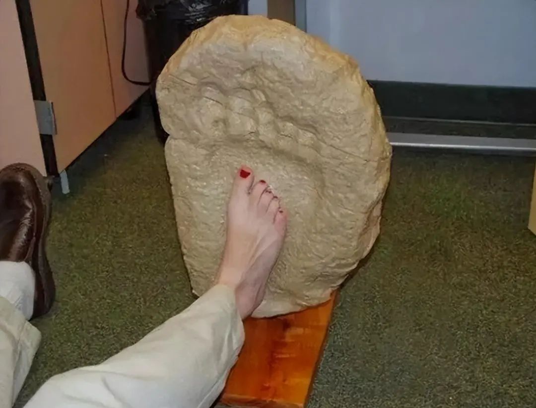 揭秘25个不可思议的奇闻异事!(图3) 640.jpg