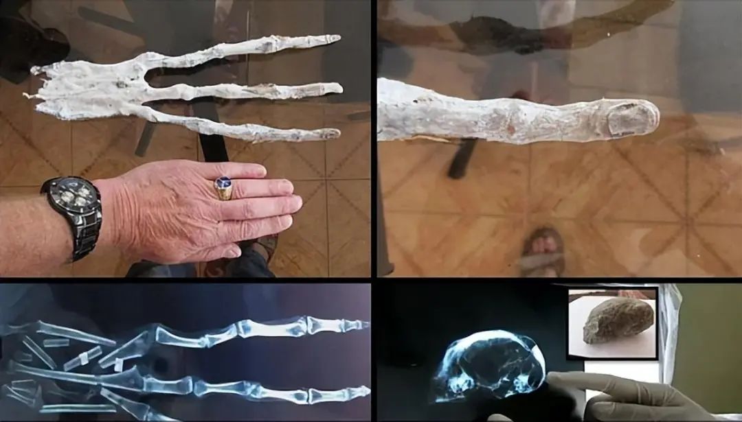 揭秘25个不可思议的奇闻异事!(图4) 640.jpg