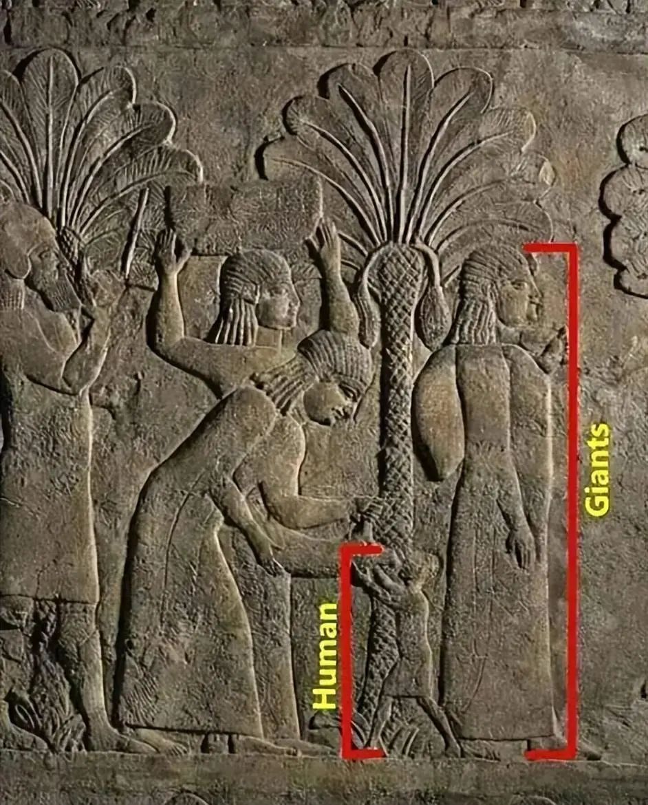 揭秘25个不可思议的奇闻异事!(图5) 640.jpg