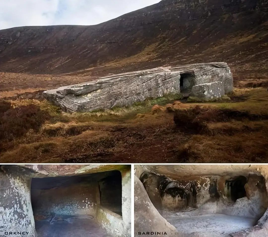 揭秘25个不可思议的奇闻异事!(图8) 640.jpg