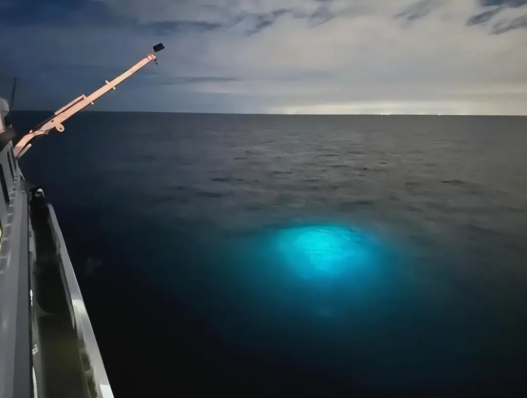 揭秘25个不可思议的奇闻异事!(图21) 640.jpg