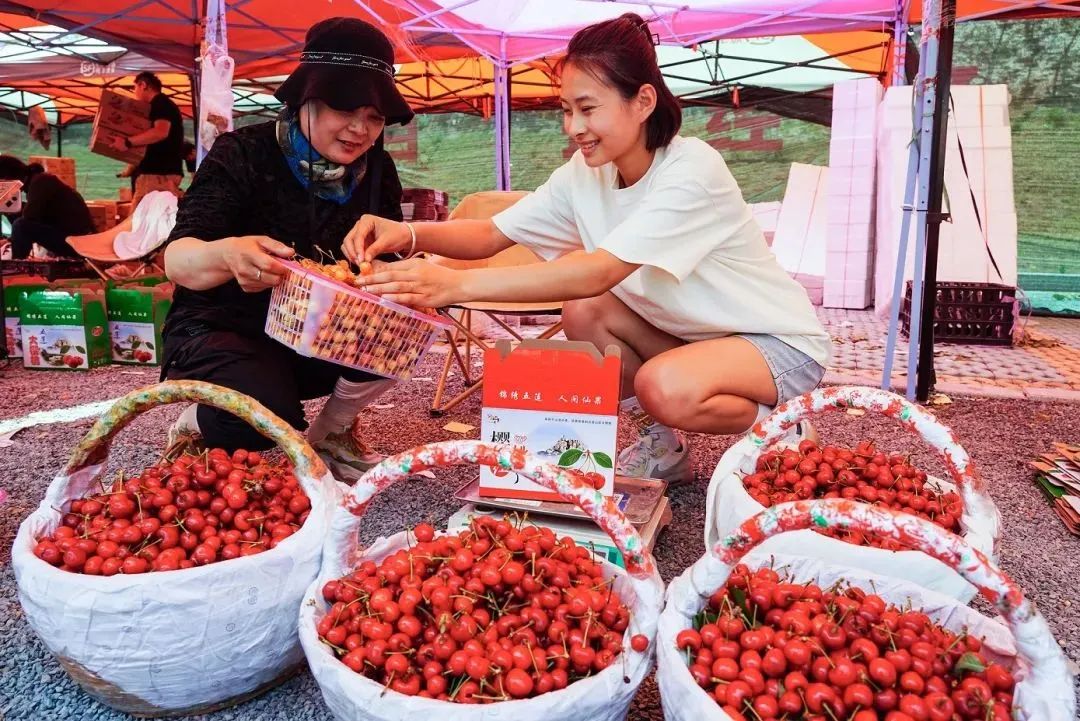 价格大跳水!“腰斩再腰斩”,商家:还会再跌……(图8) 640.jpg