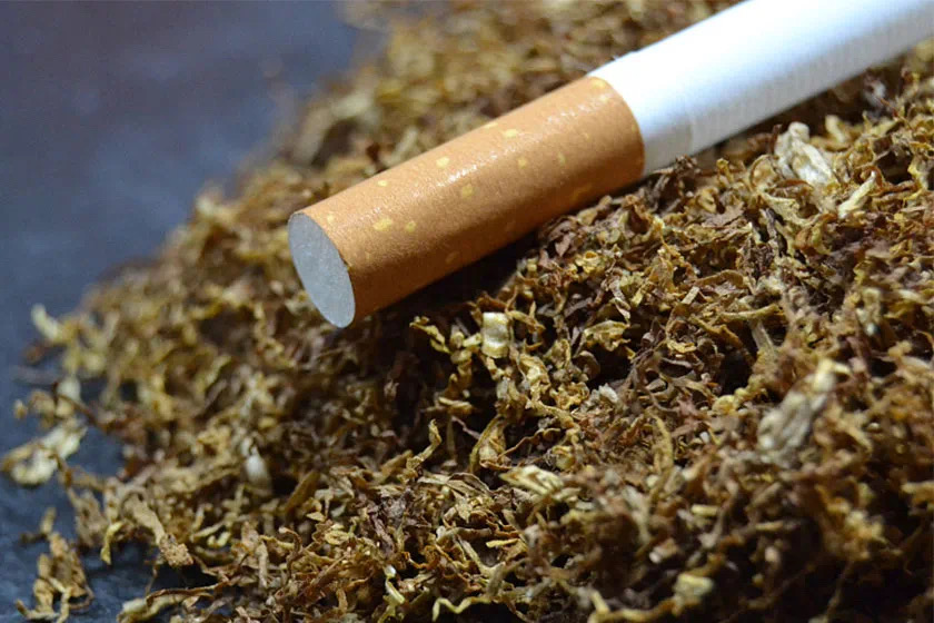 特稿|烟草业税收独领风骚背后(图1) 5.jpg