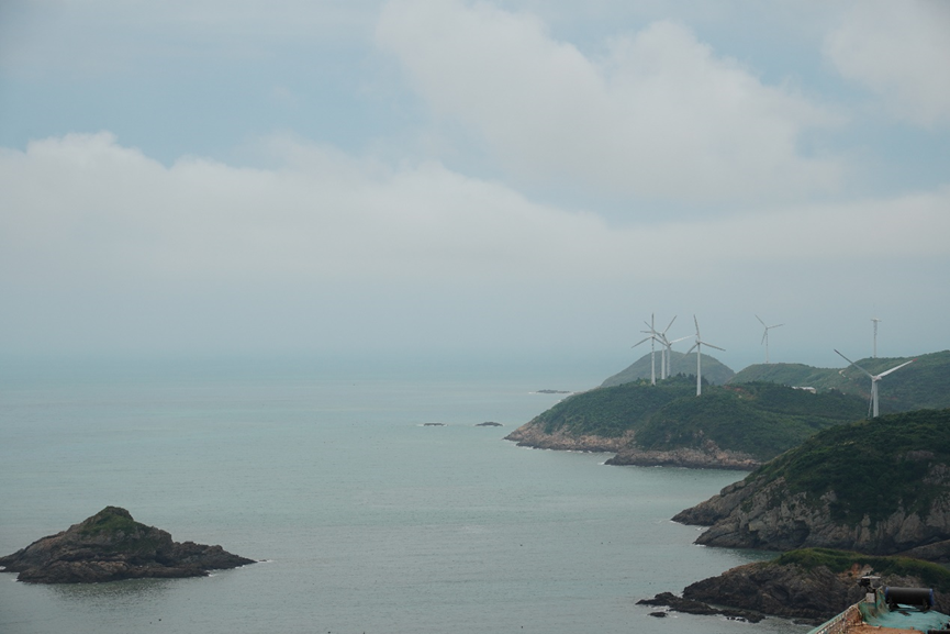 2024北京大学力行实干 |【浙江温州苍南服务团】砥砺深耕清洁能源,创新致远绿色发展(图6) 5.png