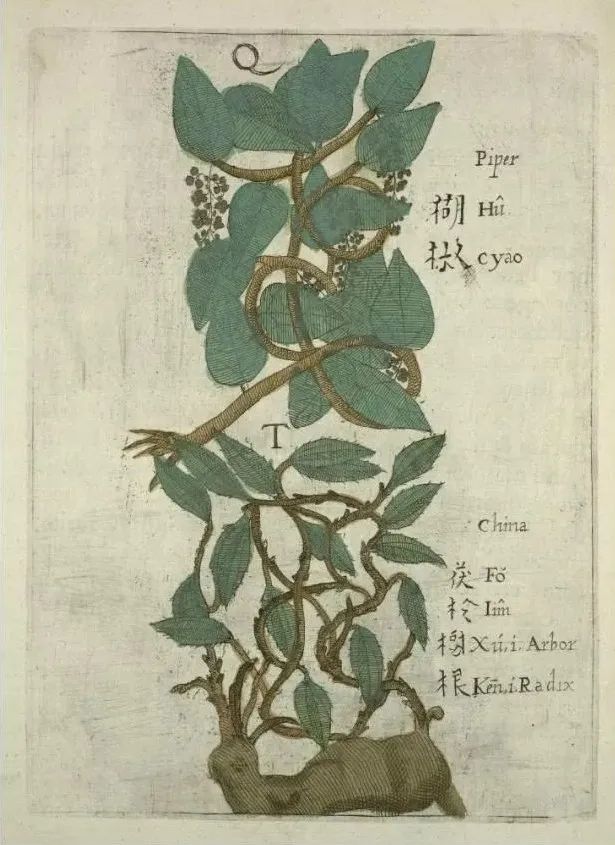 大唐第一贪官,贪了64吨胡椒(图2) 640.jpg