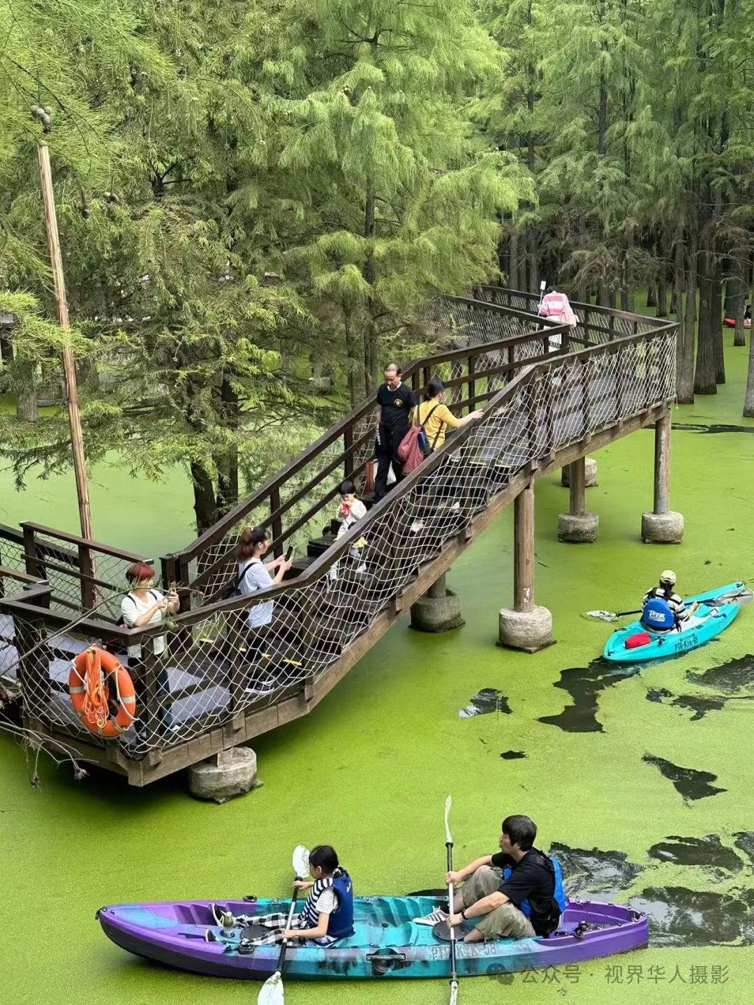 岑国荣|青山湖水上森林的奇幻世界(图7) 640.jpg