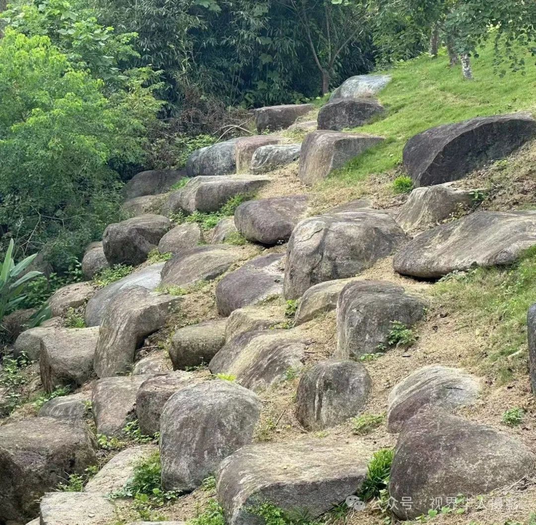 岑国荣|青山湖水上森林的奇幻世界(图10) 640.jpg