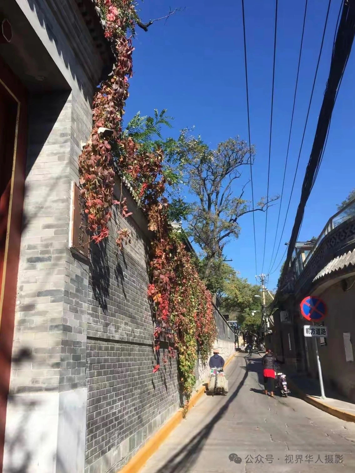 岑国荣|枫叶之韵(图8) 微信图片_20241231145024.jpg