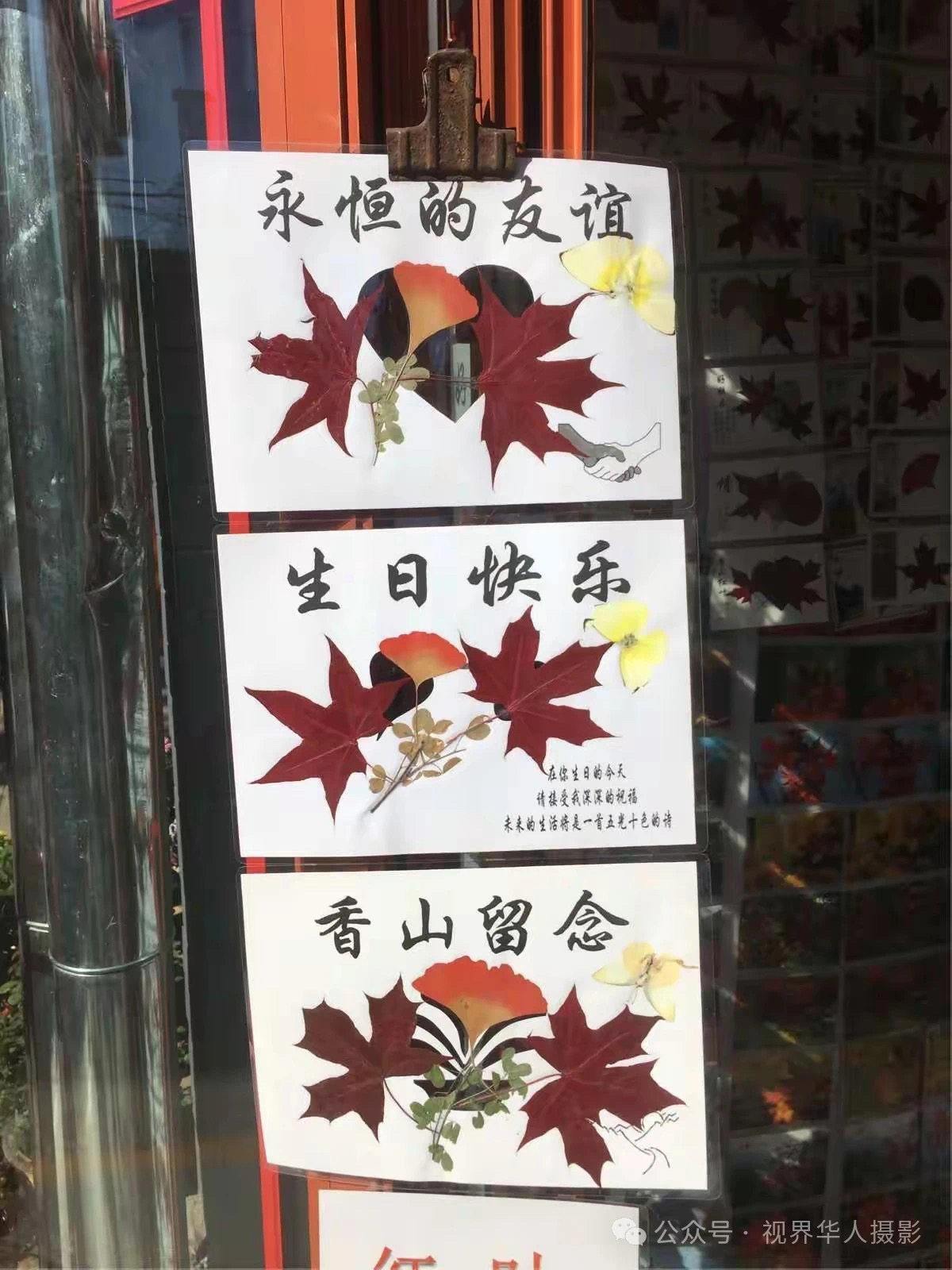 岑国荣|枫叶之韵(图22) 微信图片_202412311450273.jpg