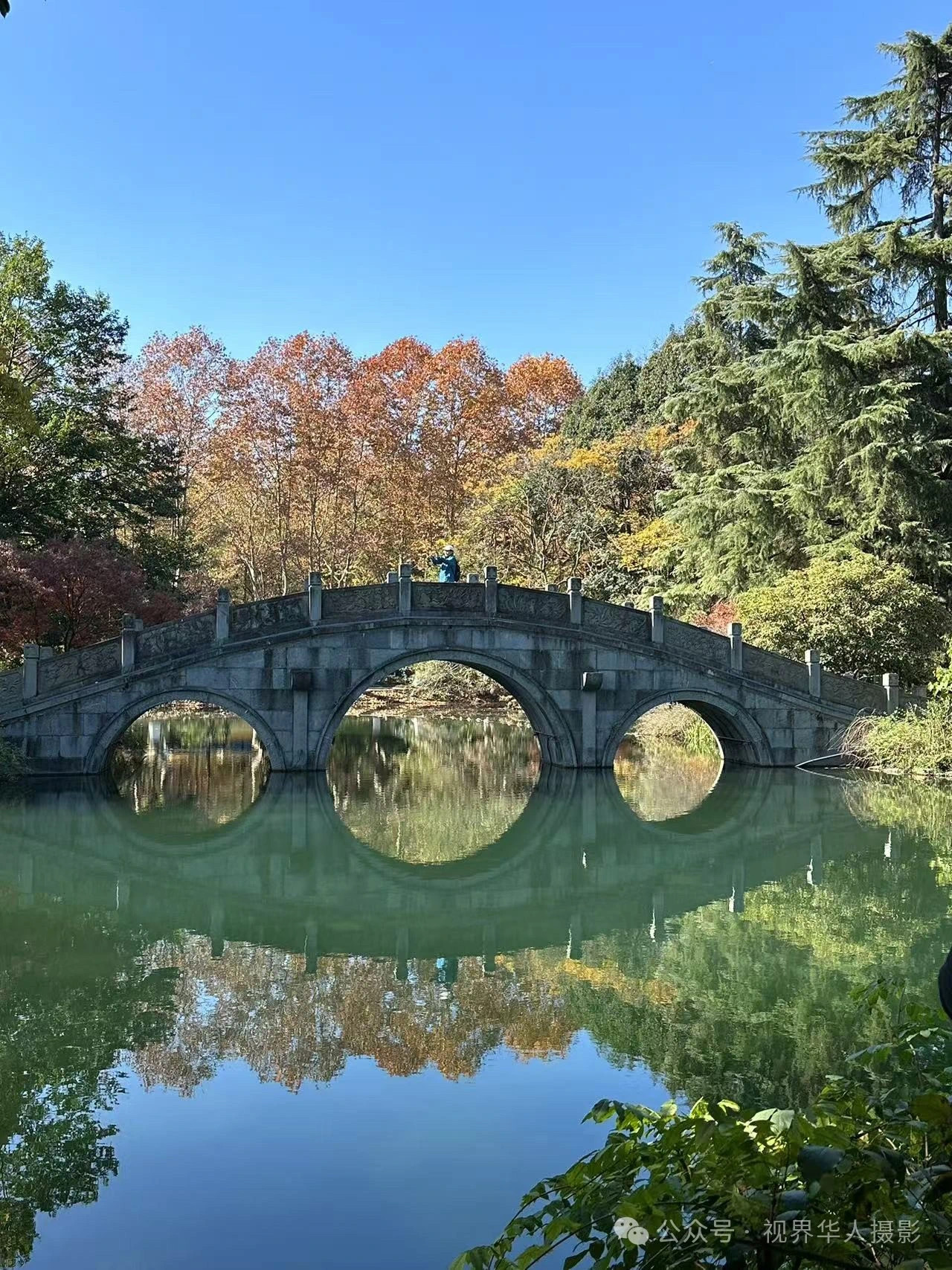 岑国荣|枫叶之韵(图25) 微信图片_202412311450282.jpg