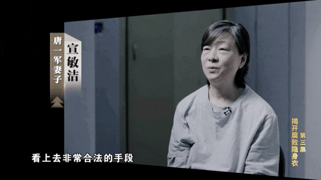 通过妻子实控34家公司,他躲在幕后敛财!(图2) 640.gif