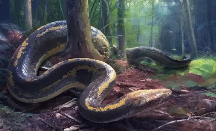 乙巳蛇年第一天,知识点来了!(图1) 微信图片_202501292156481.jpg