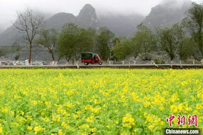 这些人今天要“躲春”?说法可信吗?(图3) 微信图片_202502032138152.jpg