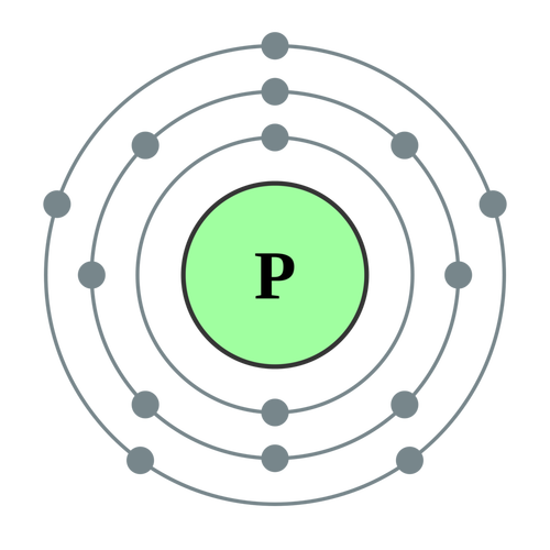 金日光教授：【永不忘当年钱老劝导我们“用当代科学传承《黄帝内经》医理和建立《中药本草》科学药理标准”的教导】• 十九(图22)