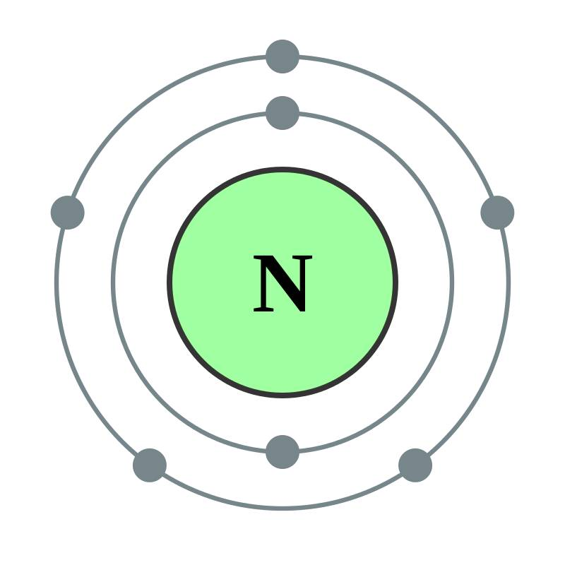 金日光教授：【永不忘当年钱老劝导我们“用当代科学传承《黄帝内经》医理和建立《中药本草》科学药理标准”的教导】• 十九(图23)