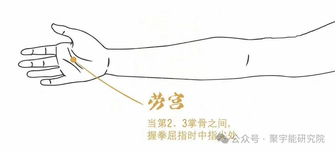 金日光教授:【永不忘当年钱老劝导我们“用当代科学传承《黄帝内经》医理和建立《中药本草》科学药理标准”的教导】• 二十一(图2) 微信图片_202502212209001.jpg
