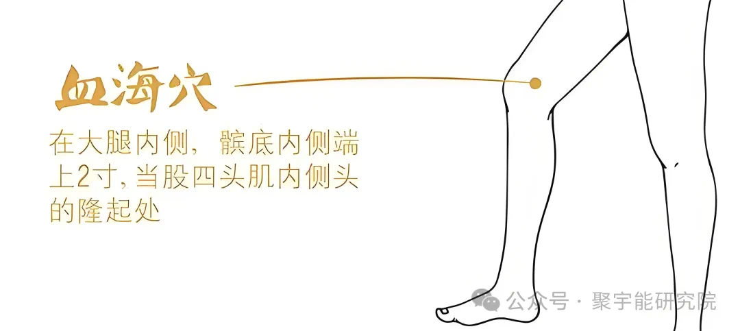 金日光教授:【永不忘当年钱老劝导我们“用当代科学传承《黄帝内经》医理和建立《中药本草》科学药理标准”的教导】• 二十一(图10) 微信图片_202502212209004.png