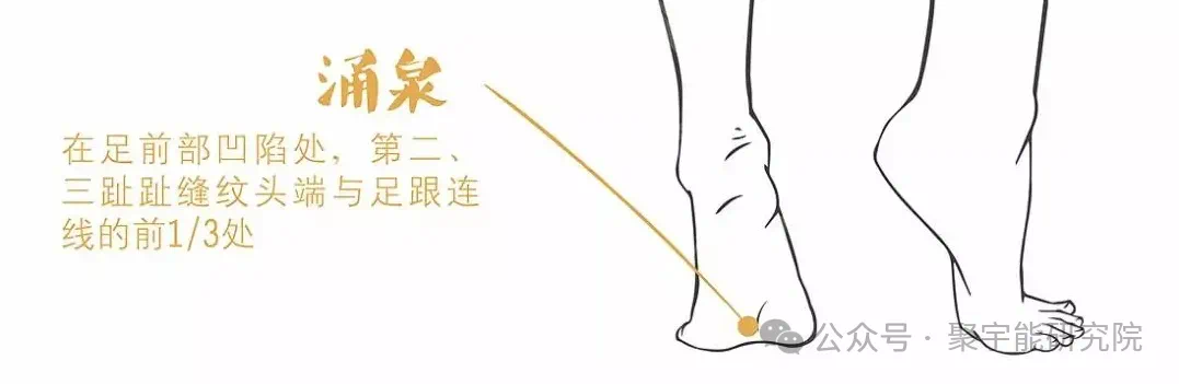 金日光教授:【永不忘当年钱老劝导我们“用当代科学传承《黄帝内经》医理和建立《中药本草》科学药理标准”的教导】• 二十二(图1) 微信图片_20250224214359.png