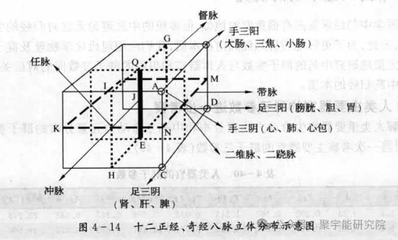 金日光教授:【永不忘当年钱老劝导我们“用当代科学传承《黄帝内经》医理和建立《中药本草》科学药理标准”的教导】• 三十(图1) 微信图片_20250320210801.png