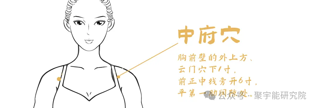 金日光教授：【永不忘当年钱老劝导我们“用当代科学传承《黄帝内经》医理和建立《中药本草》科学药理标准”的教导】• 三十八(图6)