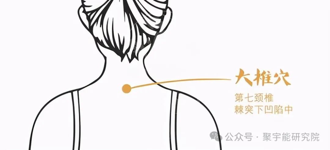 金日光教授：【永不忘当年钱老劝导我们“用当代科学传承《黄帝内经》医理和建立《中药本草》科学药理标准”的教导】• 三十八(图7)