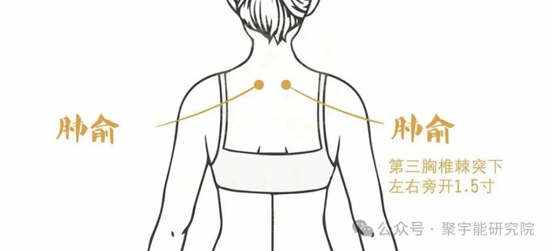 金日光教授：【永不忘当年钱老劝导我们“用当代科学传承《黄帝内经》医理和建立《中药本草》科学药理标准”的教导】• 三十八(图8)