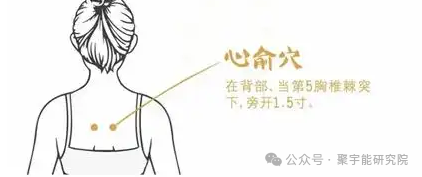 金日光教授：【永不忘当年钱老劝导我们“用当代科学传承《黄帝内经》医理和建立《中药本草》科学药理标准”的教导】• 三十八(图9)