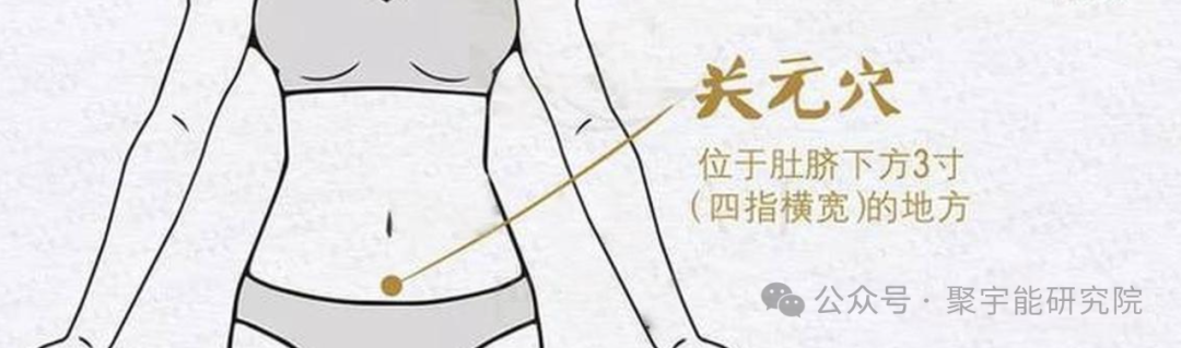 金日光教授：【永不忘当年钱老劝导我们“用当代科学传承《黄帝内经》医理和建立《中药本草》科学药理标准”的教导】• 三十八(图10)