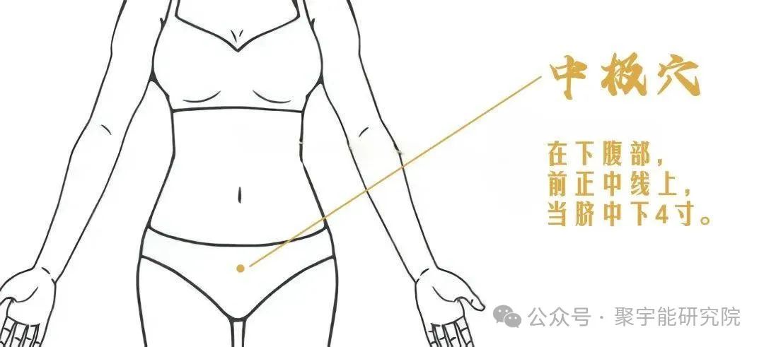 金日光教授：【永不忘当年钱老劝导我们“用当代科学传承《黄帝内经》医理和建立《中药本草》科学药理标准”的教导】• 三十八(图12)