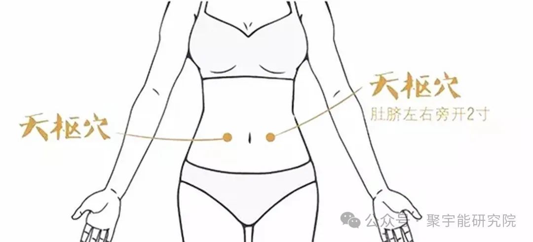 金日光教授：【永不忘当年钱老劝导我们“用当代科学传承《黄帝内经》医理和建立《中药本草》科学药理标准”的教导】• 三十八(图13)