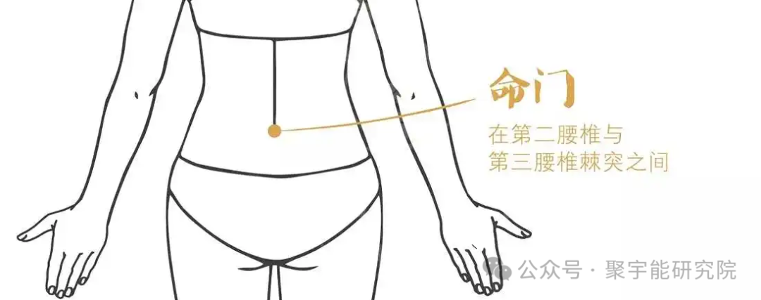 金日光教授：【永不忘当年钱老劝导我们“用当代科学传承《黄帝内经》医理和建立《中药本草》科学药理标准”的教导】• 三十八(图14)