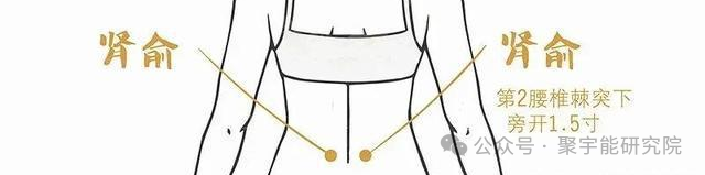 金日光教授：【永不忘当年钱老劝导我们“用当代科学传承《黄帝内经》医理和建立《中药本草》科学药理标准”的教导】• 三十八(图15)