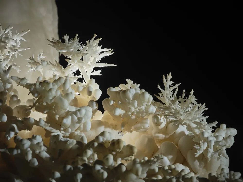 罕见！贵州发现4.8亿年“地下水晶宫”(图4)