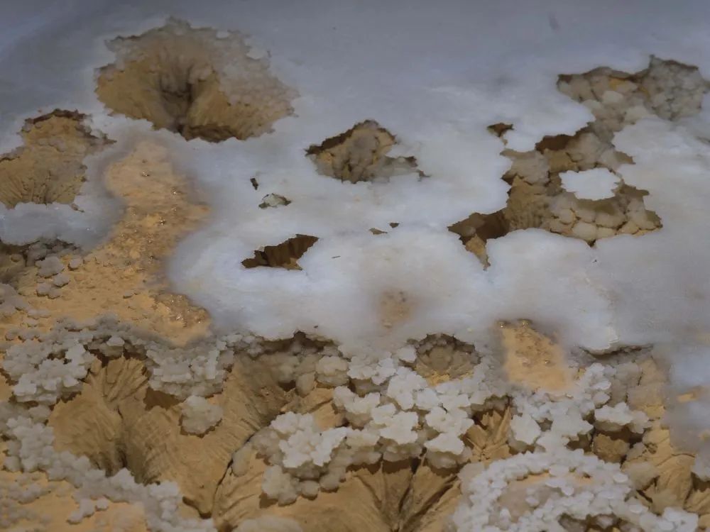 罕见！贵州发现4.8亿年“地下水晶宫”(图3)