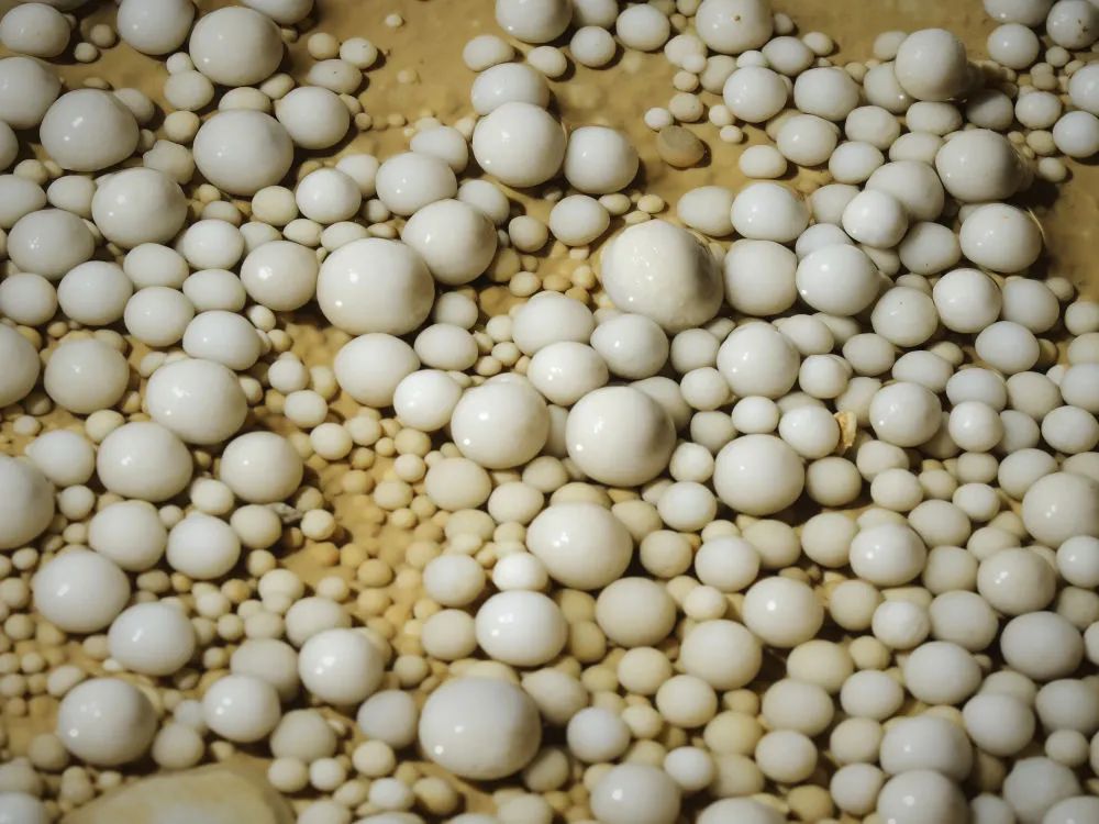 罕见！贵州发现4.8亿年“地下水晶宫”(图8)