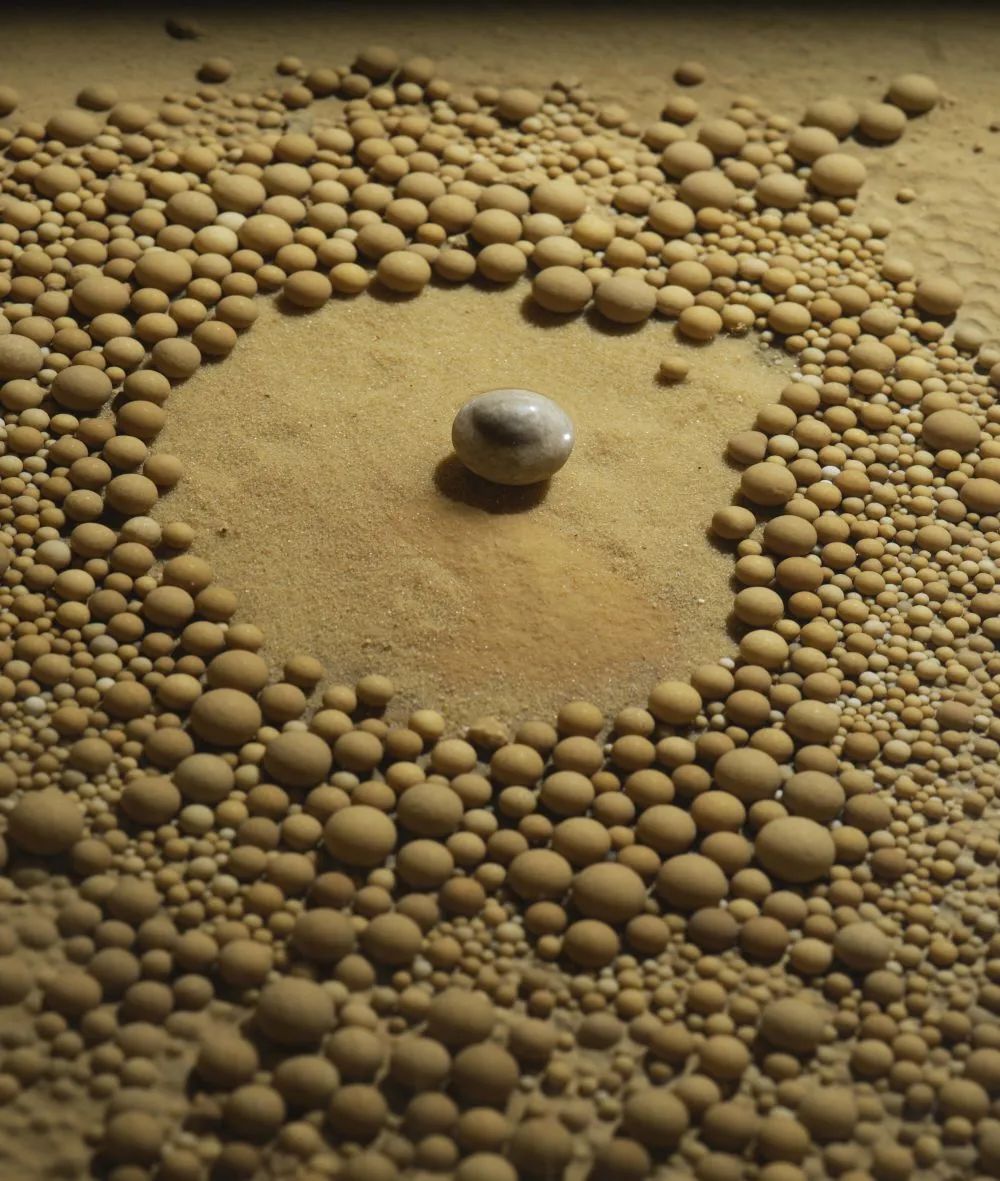 罕见！贵州发现4.8亿年“地下水晶宫”(图7)