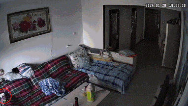 瞬间爆炸,家被烧光!看完想立刻回家拔插头……(图1) 图片