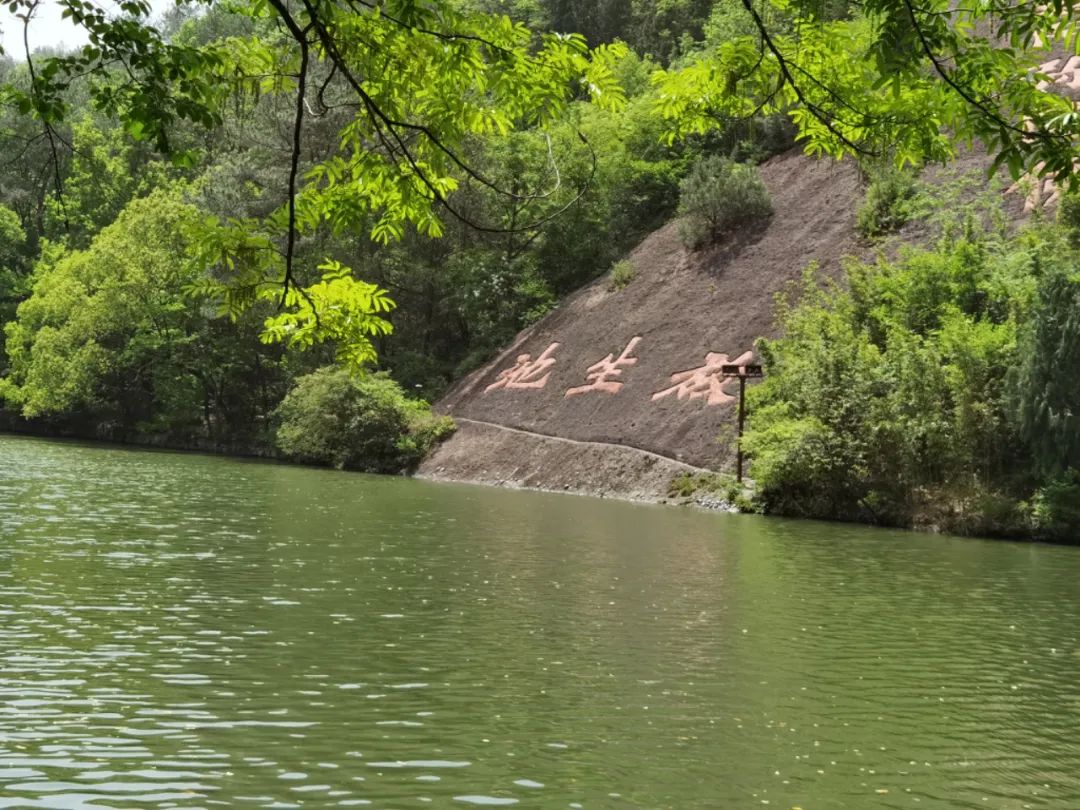 岑国荣丨新昌大佛寺的文化视角(图26)