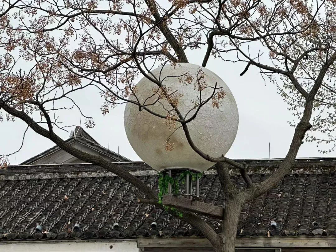 岑国荣丨鸣鹤古镇的文化魅力(图5) 图片