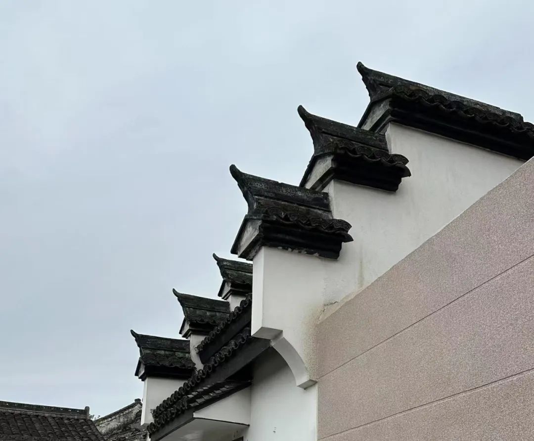 岑国荣丨鸣鹤古镇的文化魅力(图36) 图片