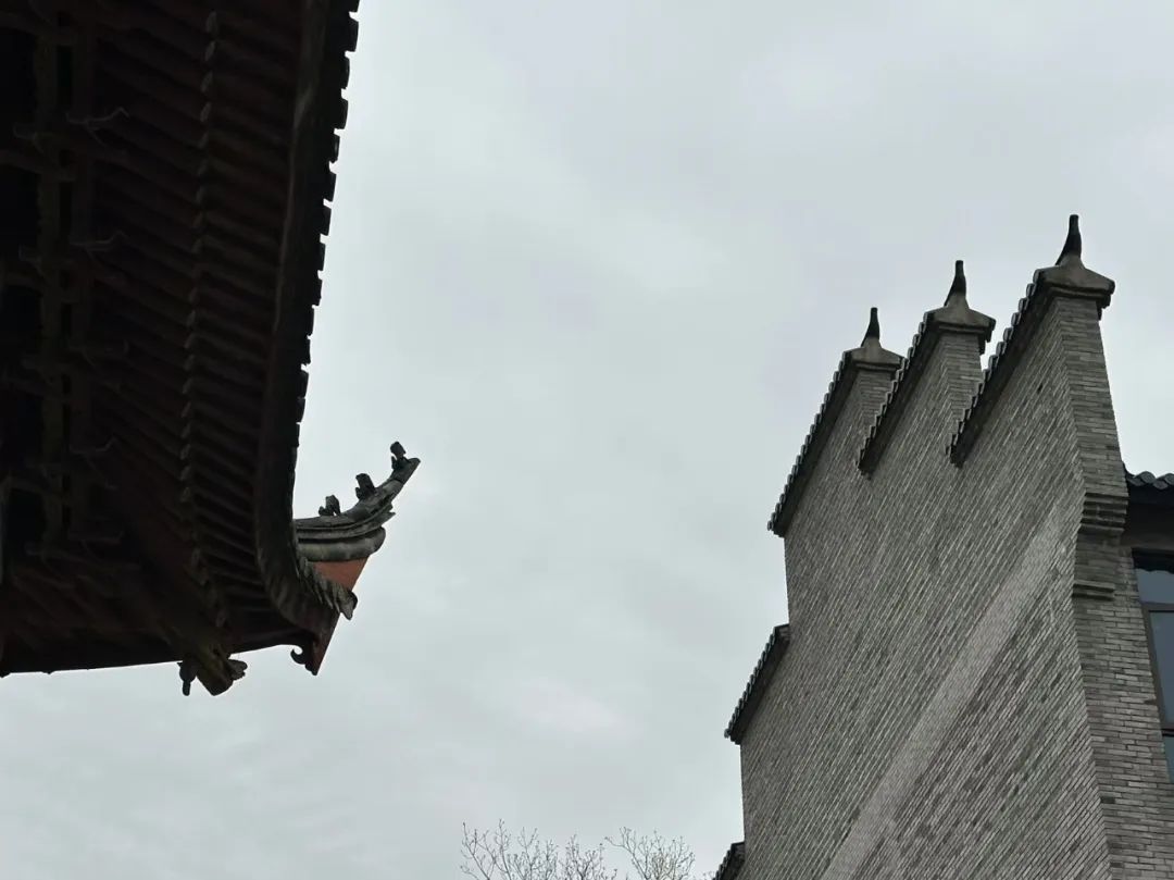 岑国荣丨鸣鹤古镇的文化魅力(图42) 图片