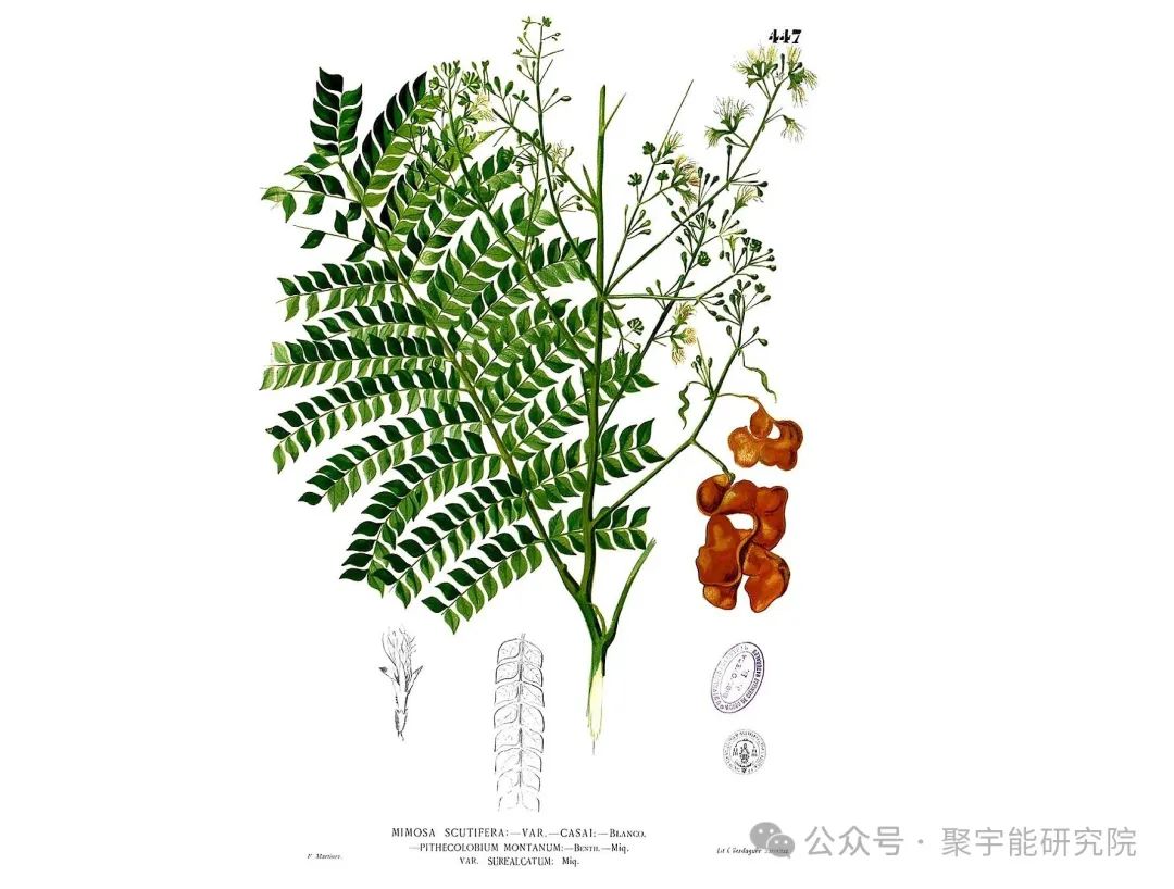 金日光教授:(六十六)永不忘当年钱老劝导我们“用当代科学传承《黄帝内经》医理和建立《中药本草》科学药理标准”的教导(图3) 金日光教授:(六十六)永不忘当年钱老劝导我们“用当代科学传承《黄帝内经》医理和建立《中药本草》科学药理标准”的教导(图3)