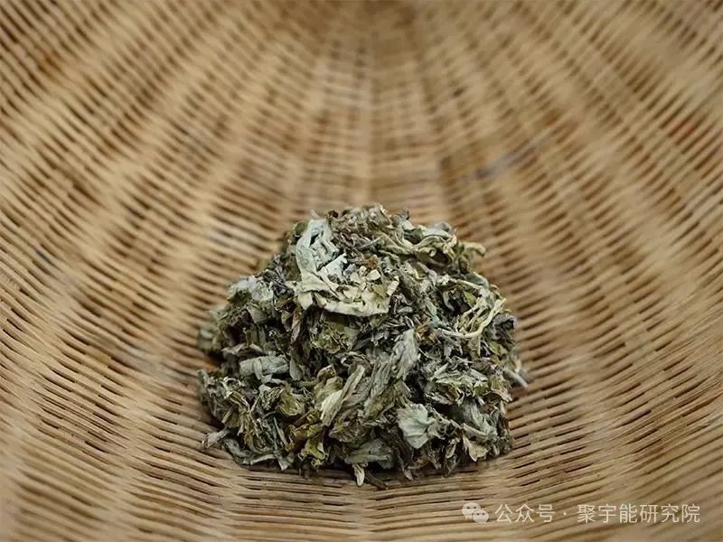 金日光教授:(六十八)永不忘当年钱老劝导我们“用当代科学传承《黄帝内经》医理和建立《中药本草》科学药理标准”的教导(图10) 图片