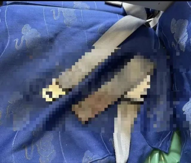 16岁女孩飞机上产下婴儿,多方回应(图1) 图片